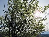 02 Finalmente sole!